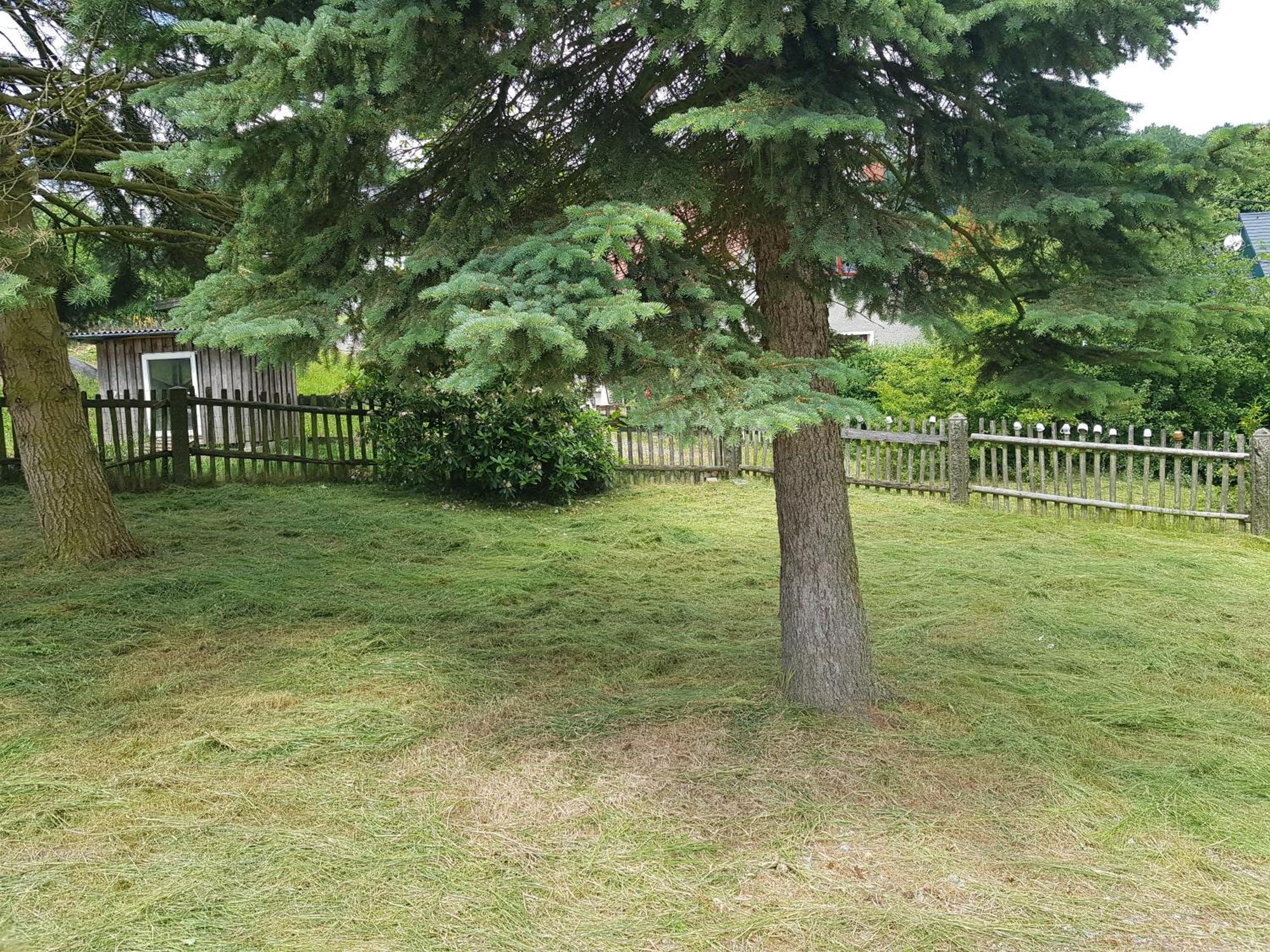 Gasthof Oberschmiede Auf der Wiese Dış mekan fotoğraf