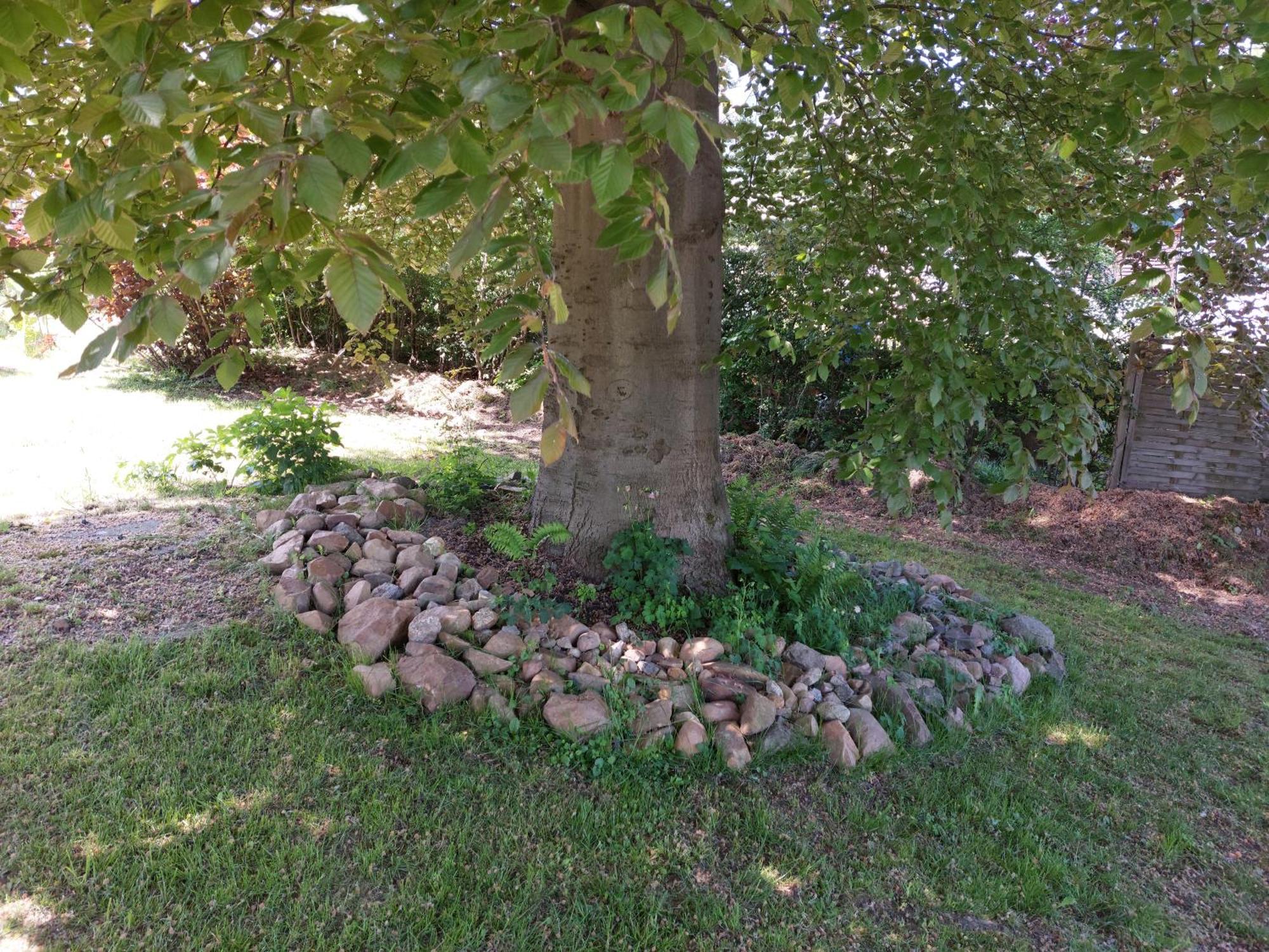Gasthof Oberschmiede Auf der Wiese Dış mekan fotoğraf